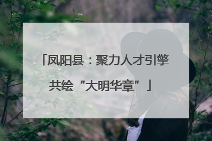 凤阳县：聚力人才引擎 共绘“大明华章”