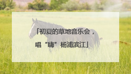 初夏的草地音乐会，唱“嗨”杨浦滨江