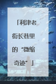 利津老街长巷里的“微缩奇迹”