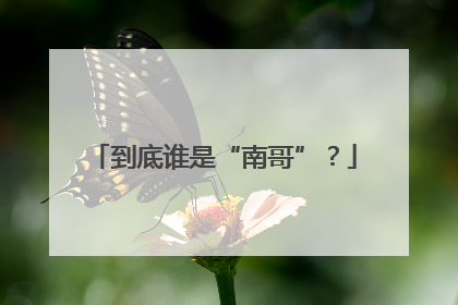 到底谁是“南哥”？