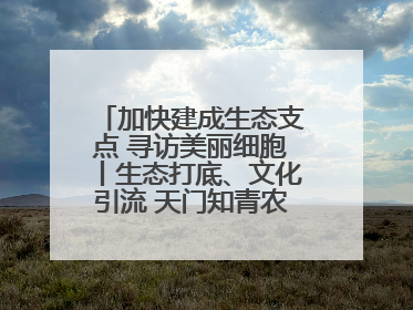 加快建成生态支点 寻访美丽细胞丨生态打底、文化引流 天门知青农场节假高峰日接待游客2万人次