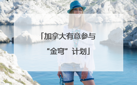 加拿大有意参与“金穹”计划