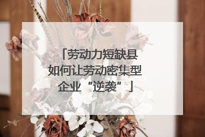 劳动力短缺县 如何让劳动密集型企业“逆袭”