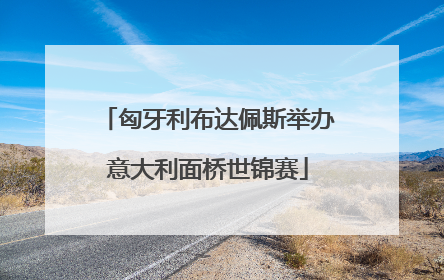 匈牙利布达佩斯举办意大利面桥世锦赛