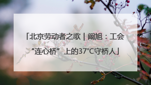 北京劳动者之歌｜阚旭：工会“连心桥”上的37℃守桥人