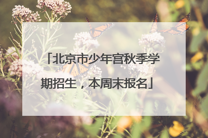 北京市少年宫秋季学期招生，本周末报名