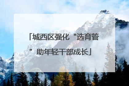 城西区强化“选育管”助年轻干部成长