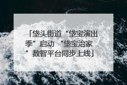 垡头街道“垡宝演出季”启动 “垡宝治家”数智平台同步上线