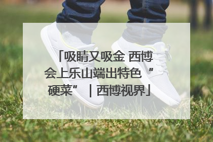 吸睛又吸金 西博会上乐山端出特色“硬菜”｜西博视界