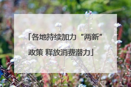 各地持续加力“两新”政策 释放消费潜力