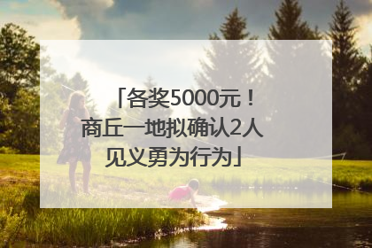 各奖5000元！商丘一地拟确认2人见义勇为行为