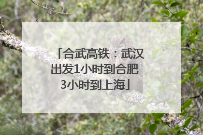 合武高铁：武汉出发1小时到合肥3小时到上海