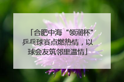 合肥中海“领潮杯”乒乓球赛点燃热情，以球会友筑邻里温情