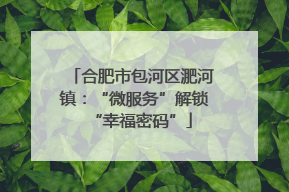 合肥市包河区淝河镇：“微服务”解锁“幸福密码”