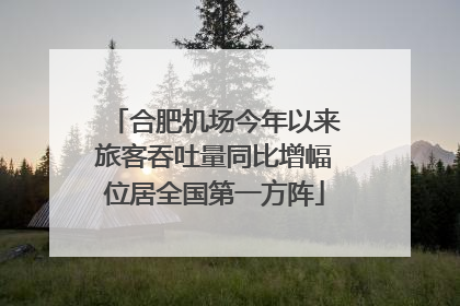 合肥机场今年以来旅客吞吐量同比增幅位居全国第一方阵