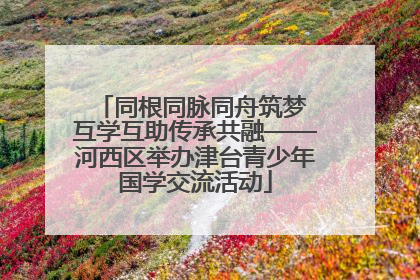 同根同脉同舟筑梦 互学互助传承共融——河西区举办津台青少年国学交流活动