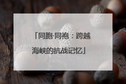 同胞·同袍：跨越海峡的抗战记忆
