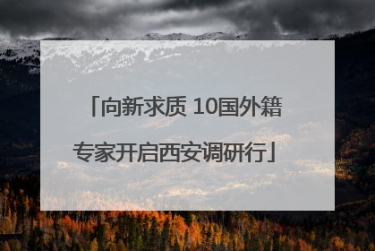 向新求质 10国外籍专家开启西安调研行
