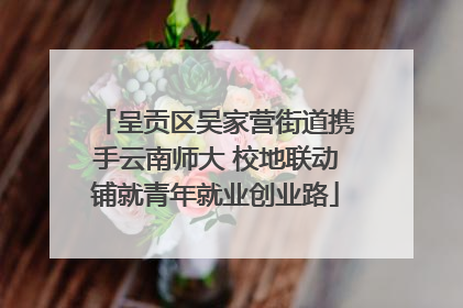 呈贡区吴家营街道携手云南师大 校地联动铺就青年就业创业路
