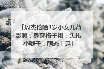 周杰伦晒3岁小女儿背影照，身穿格子裙，头扎小辫子，萌态十足