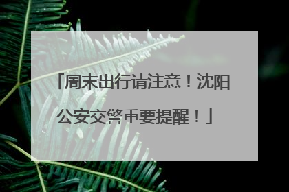 周末出行请注意！沈阳公安交警重要提醒！