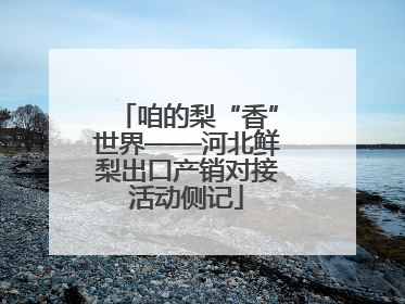 咱的梨“香”世界——河北鲜梨出口产销对接活动侧记