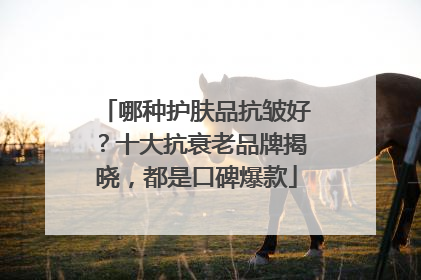 哪种护肤品抗皱好？十大抗衰老品牌揭晓，都是口碑爆款