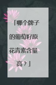 哪个牌子的葡萄籽原花青素含量高？