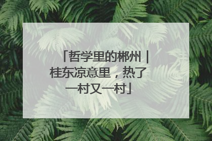 哲学里的郴州｜桂东凉意里，热了一村又一村