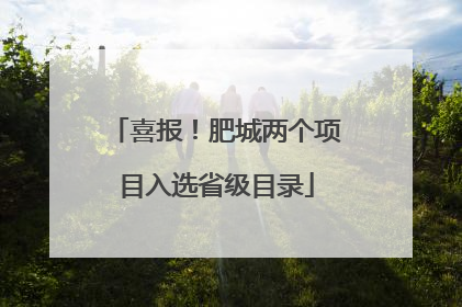 喜报！肥城两个项目入选省级目录