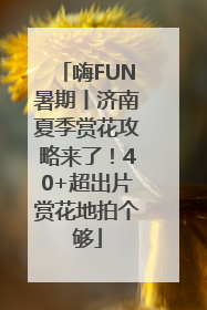 嗨FUN暑期丨济南夏季赏花攻略来了！40+超出片赏花地拍个够