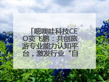 嗯噢哇科技CEO窦飞鹏：共创旅游专业能力认知平台，激发行业“自生长”力量