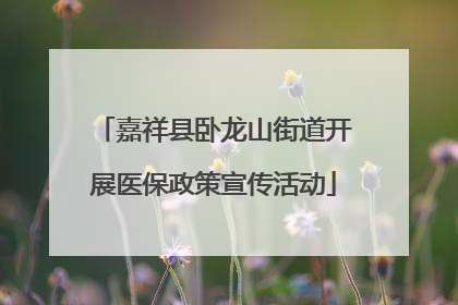 嘉祥县卧龙山街道开展医保政策宣传活动