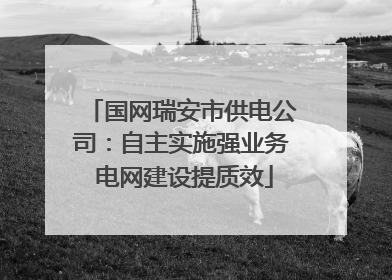 国网瑞安市供电公司：自主实施强业务 电网建设提质效