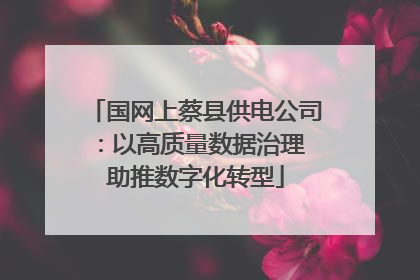 国网上蔡县供电公司：以高质量数据治理 助推数字化转型