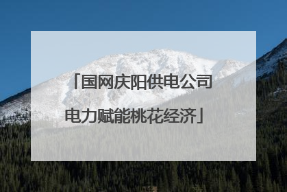 国网庆阳供电公司电力赋能桃花经济