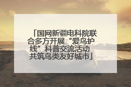 国网新疆电科院联合多方开展“爱鸟护线”科普交流活动 共筑鸟类友好城市