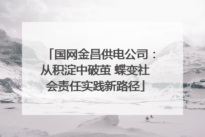 国网金昌供电公司：从积淀中破茧 蝶变社会责任实践新路径