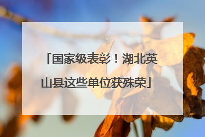 国家级表彰！湖北英山县这些单位获殊荣