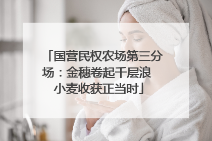 国营民权农场第三分场：金穗卷起千层浪 小麦收获正当时