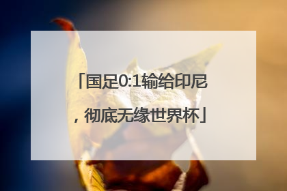 国足0:1输给印尼，彻底无缘世界杯