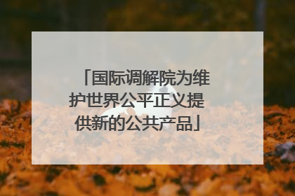 国际调解院为维护世界公平正义提供新的公共产品