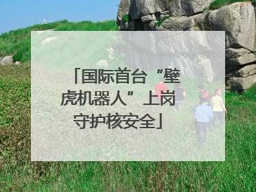 国际首台“壁虎机器人”上岗守护核安全