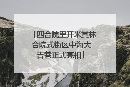 四合院里开米其林 合院式街区中海大吉巷正式亮相