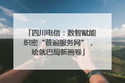 四川电信：数智赋能织密“普遍服务网”，绘就巴蜀新画卷
