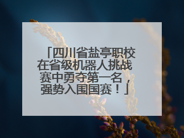 四川省盐亭职校在省级机器人挑战赛中勇夺第一名，强势入围国赛！