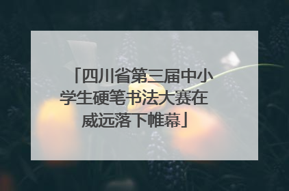 四川省第三届中小学生硬笔书法大赛在威远落下帷幕