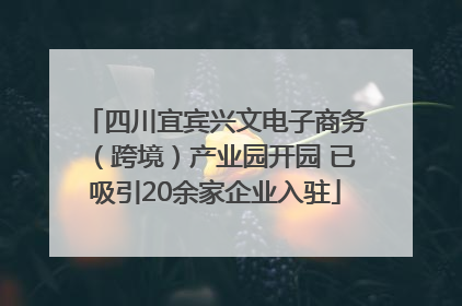 四川宜宾兴文电子商务（跨境）产业园开园 已吸引20余家企业入驻