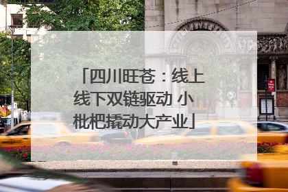 四川旺苍：线上线下双链驱动 小枇杷撬动大产业