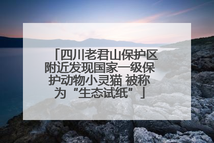 四川老君山保护区附近发现国家一级保护动物小灵猫 被称为“生态试纸”